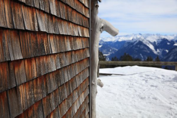Cedar Siding Repair in Xenia